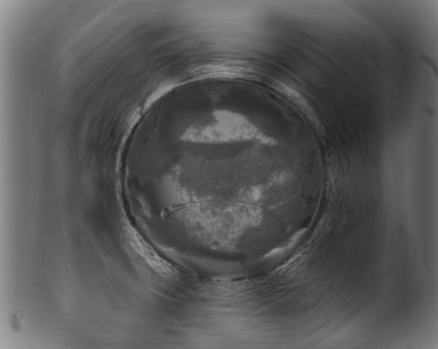 X0000100971427200806241540