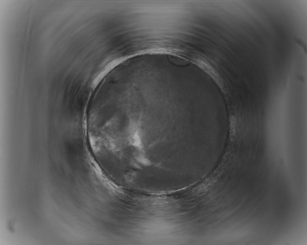 X0000100971428200806241540