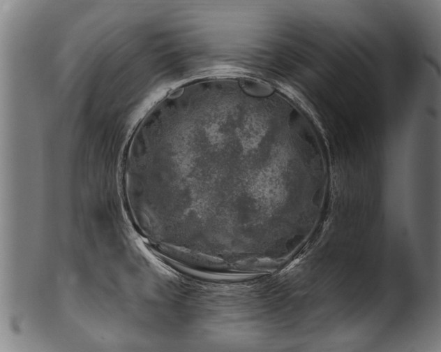 X0000100971429200806241540