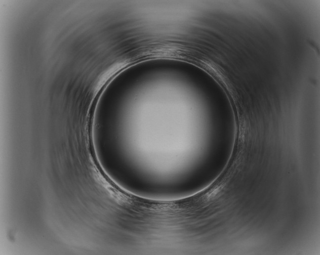 X0000100971434200806241540