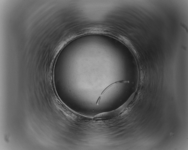 X0000100971435200806241540