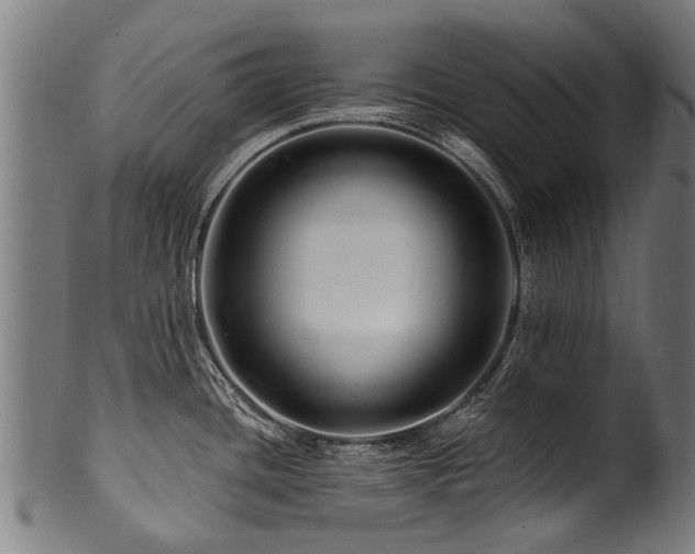 X0000100971436200806241540