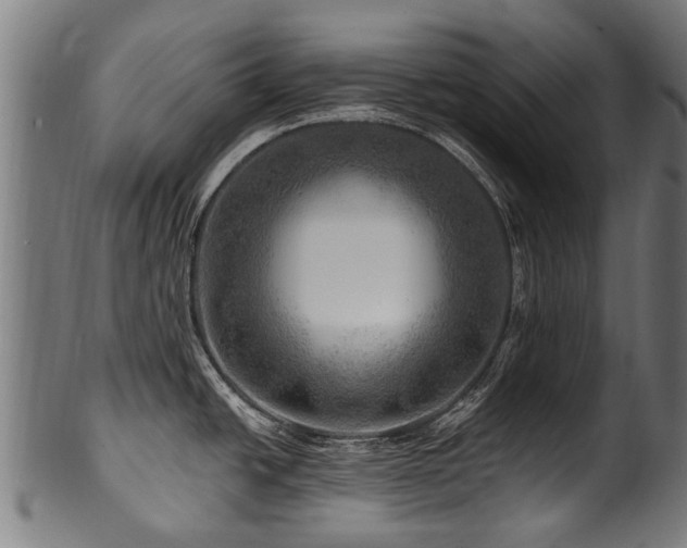 X0000100971438200806241540