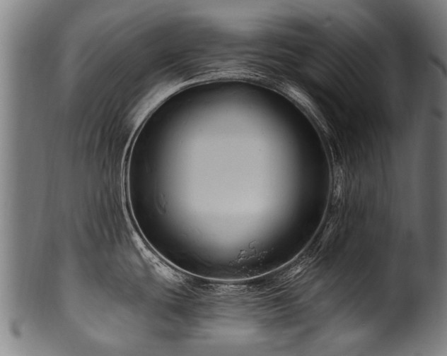 X0000100971439200806241540