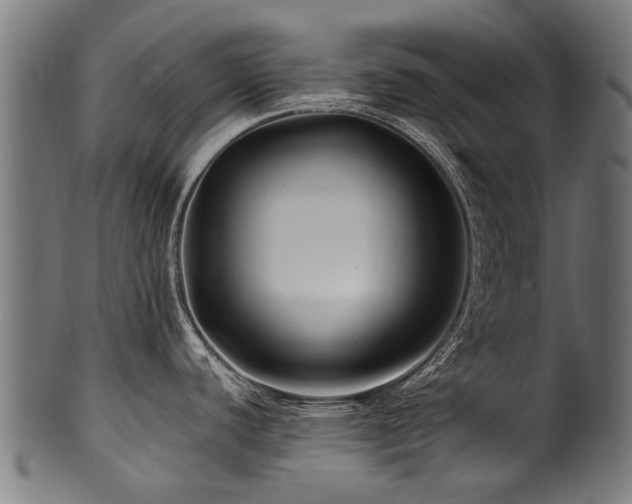 X0000100971440200806241540