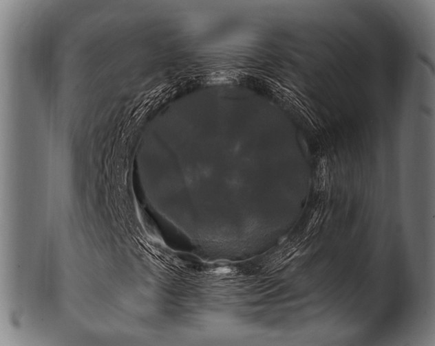 X0000100971441200806241540