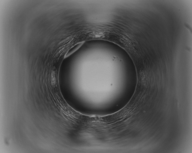 X0000100971442200806241540