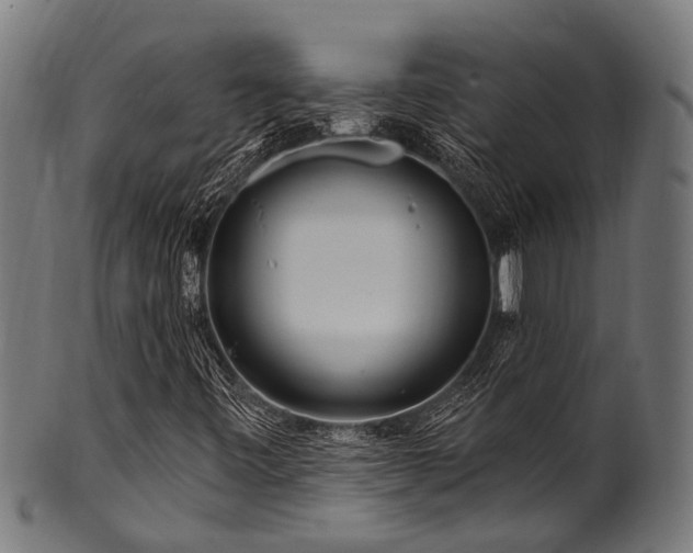 X0000100971443200806241540