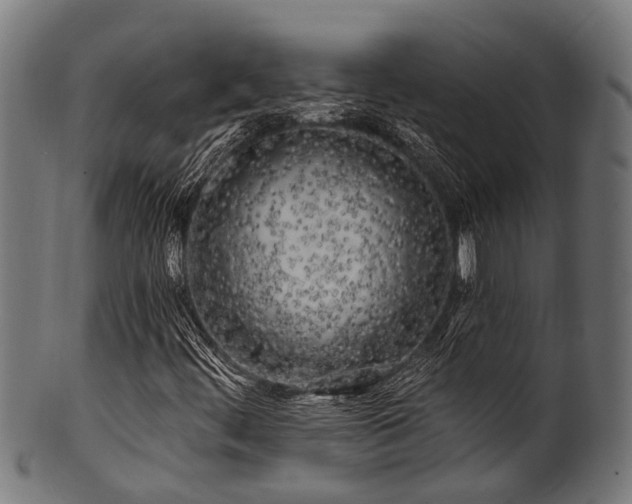 X0000100971444200806241540