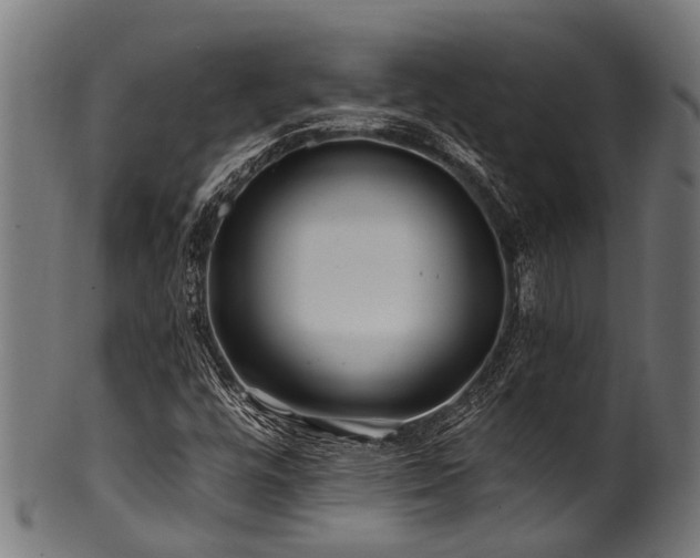 X0000100971448200806241540