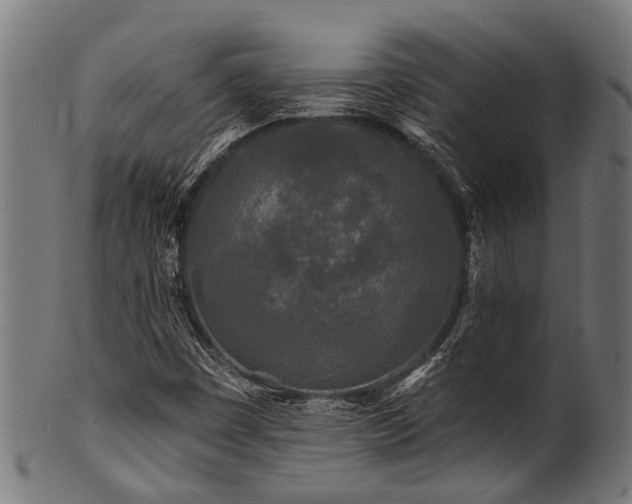 X0000100971449200806241540