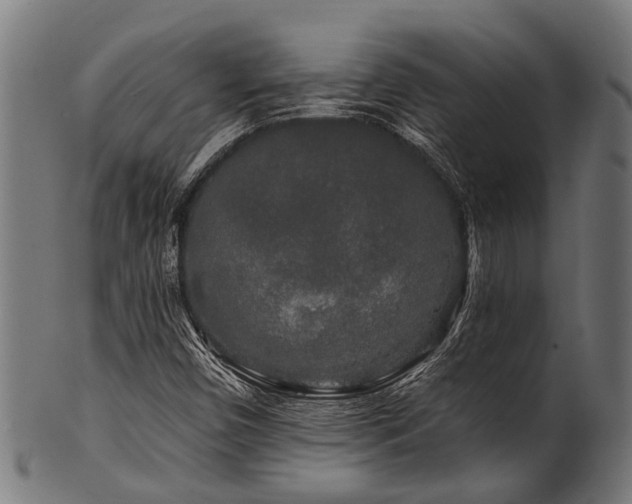 X0000100971450200806241540