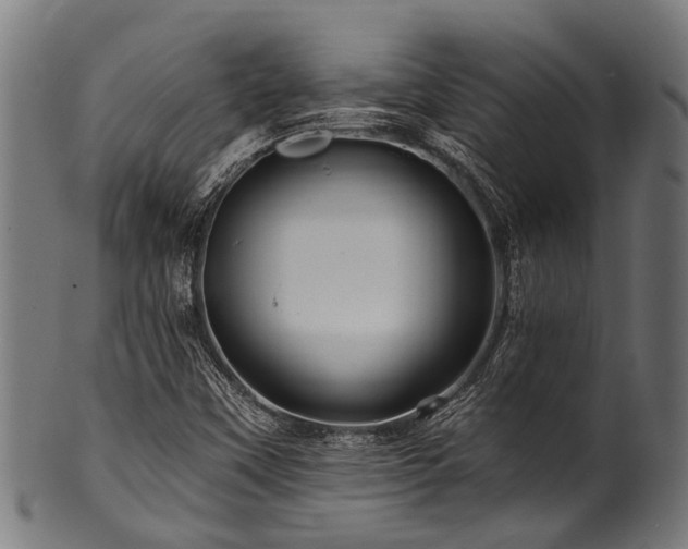 X0000100971451200806241539