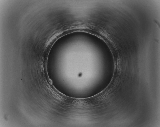 X0000100971452200806241539