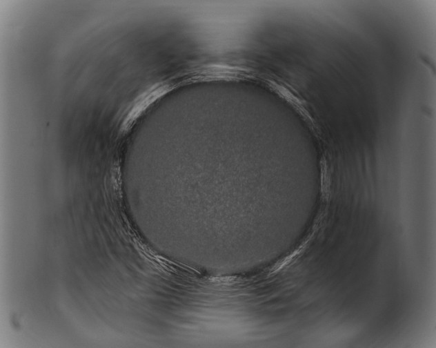 X0000100971453200806241539