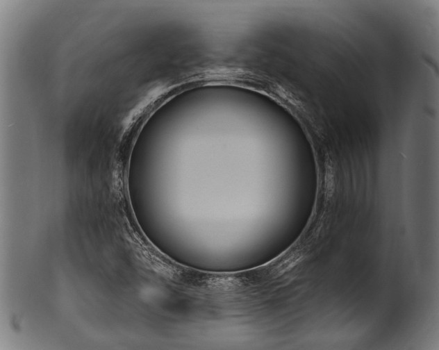 X0000100971454200806241539