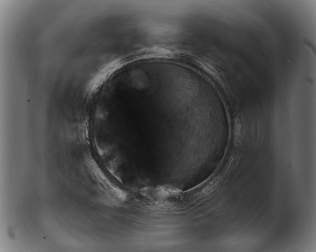 X0000100971455200806241539