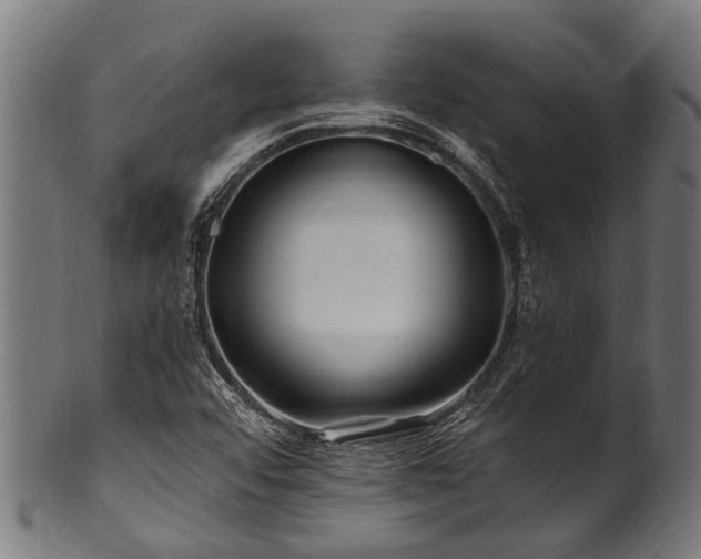 X0000100971456200806241539