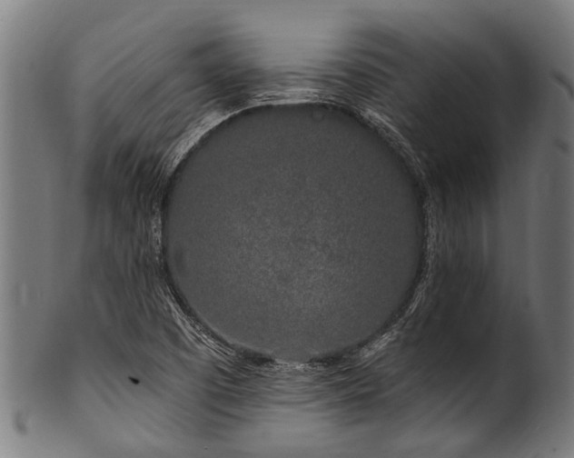 X0000100971457200806241539