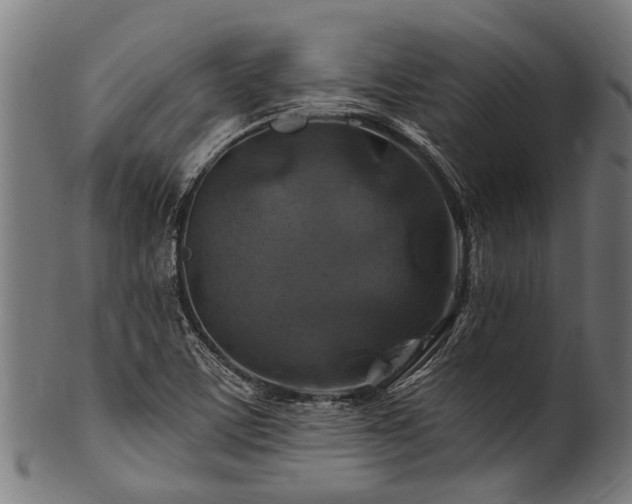 X0000100971459200806241539