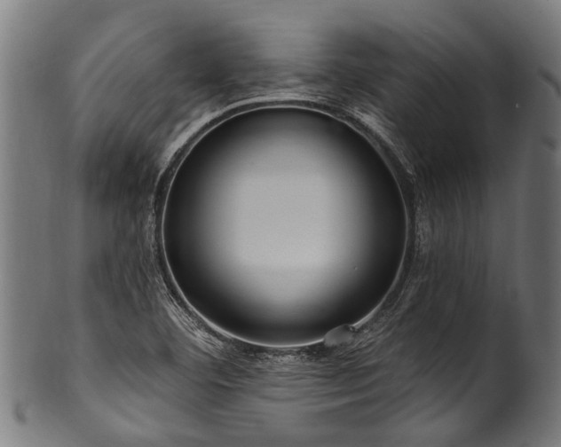 X0000100971460200806241539