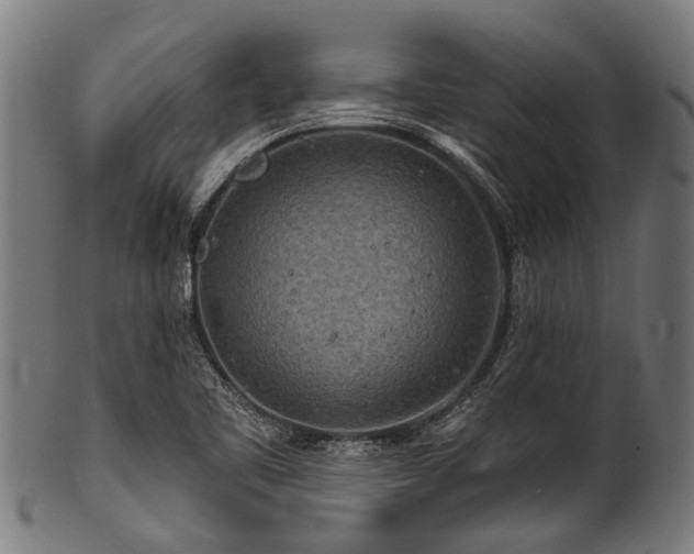 X0000100971461200806241539