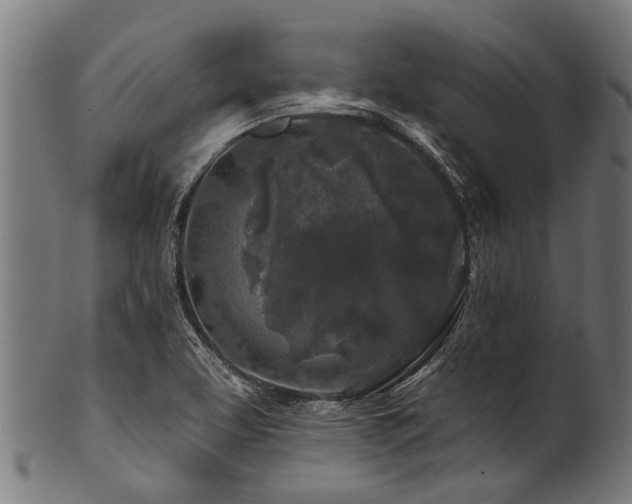 X0000100971463200806241539