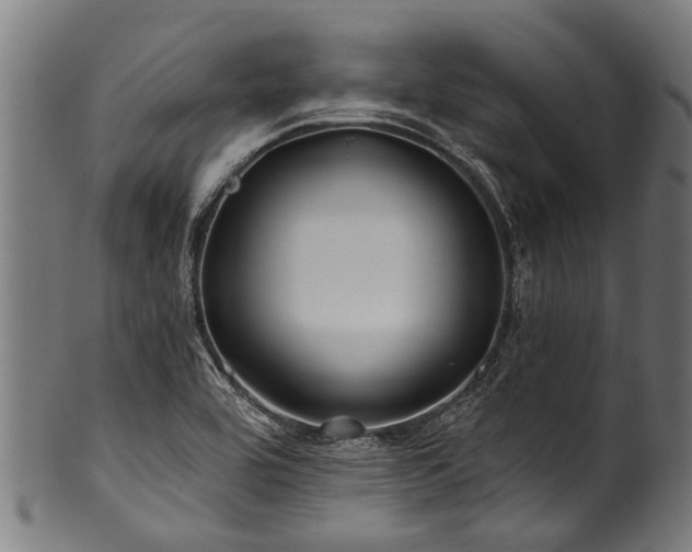 X0000100971464200806241539