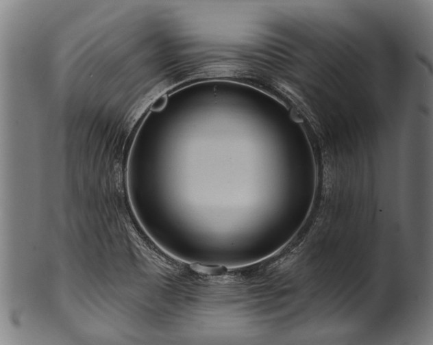 X0000100971465200806241539