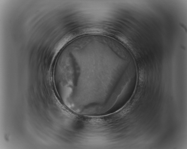 X0000100971466200806241539