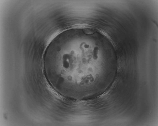 X0000100971467200806241539