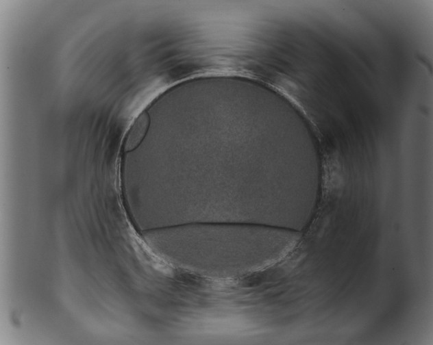 X0000100971468200806241539