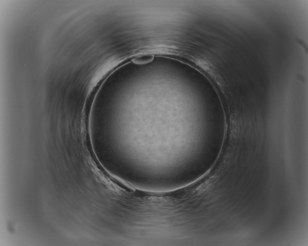 X0000100971469200806241539