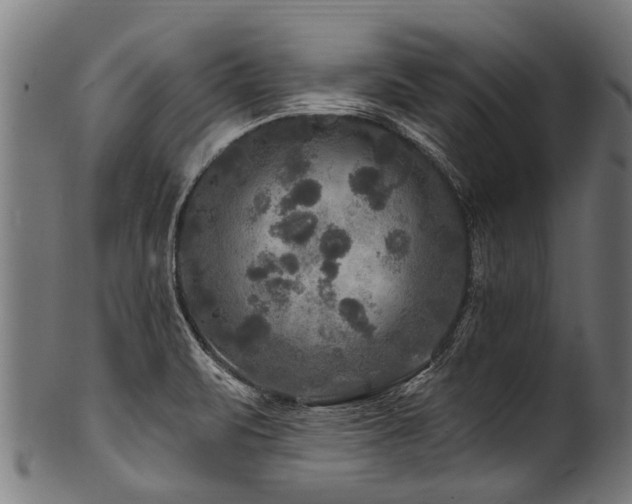 X0000100971471200806241539