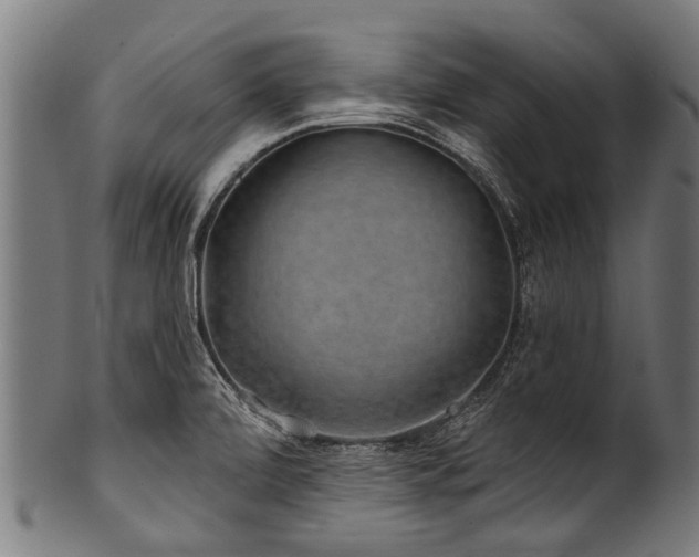 X0000100971472200806241539