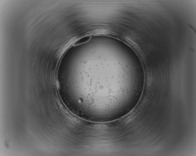 X0000100971473200806241539