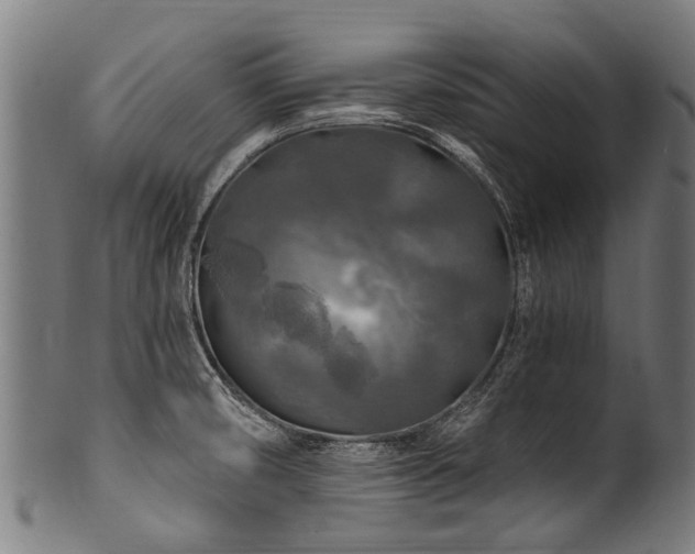 X0000100971474200806241539