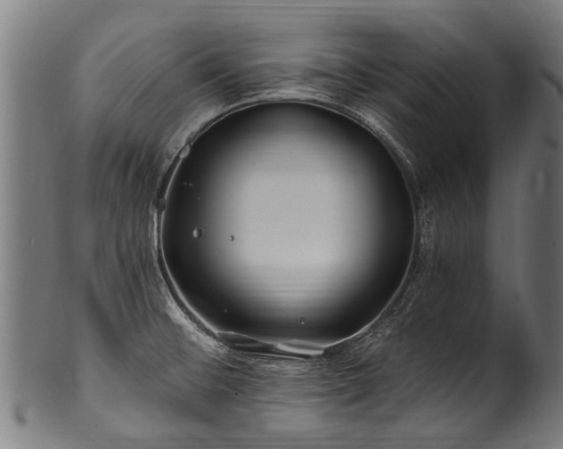 X0000100971476200806241539