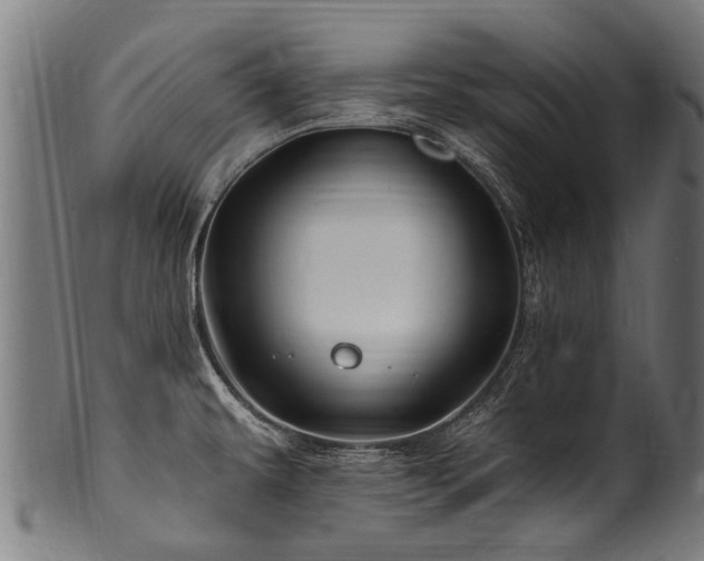 X0000100971479200806241539