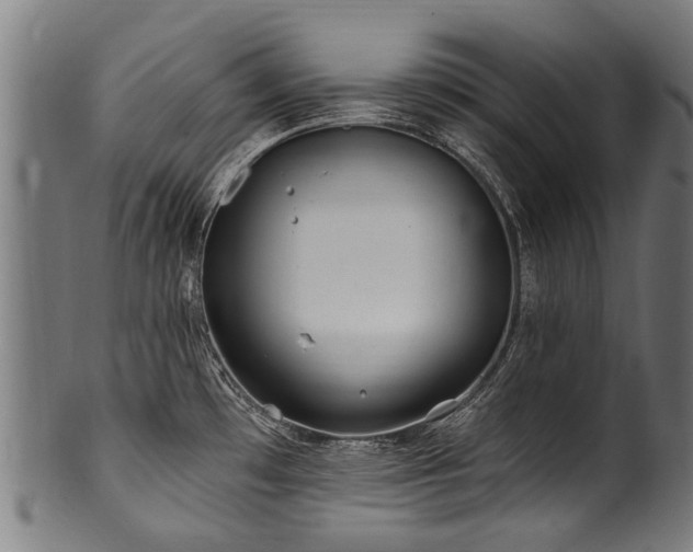 X0000100971481200806241539