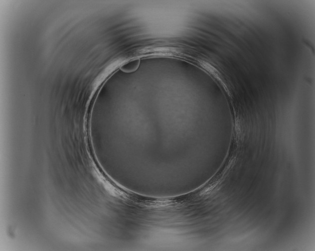 X0000100971482200806241539