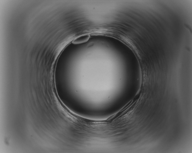 X0000100971483200806241539