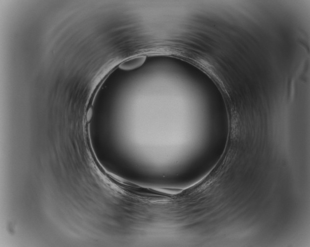 X0000100971484200806241539