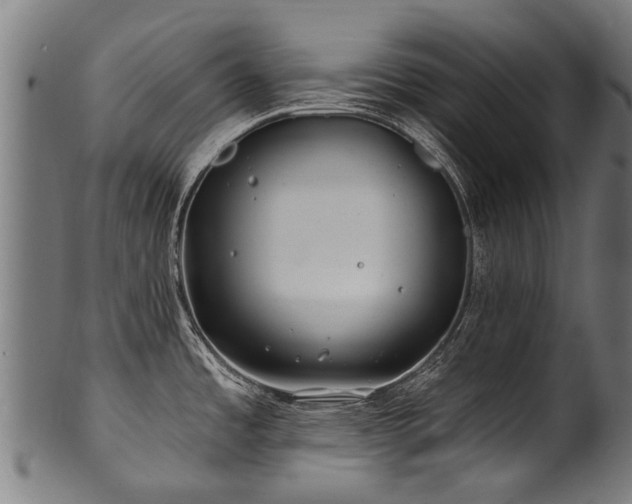 X0000100971485200806241539