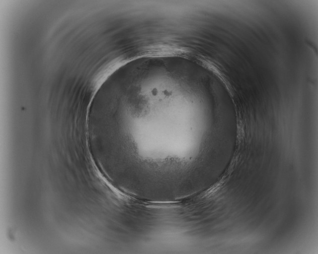 X0000100971487200806241539