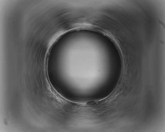 X0000100971488200806241539