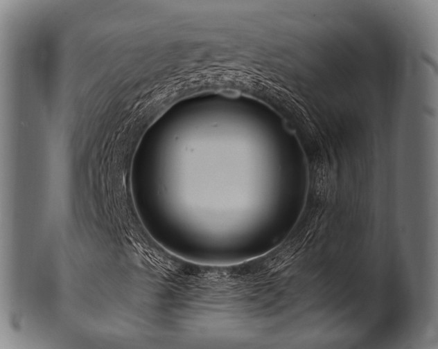 X0000100971489200806241538