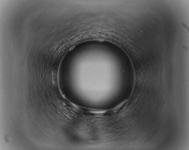 X0000100971490200806241538