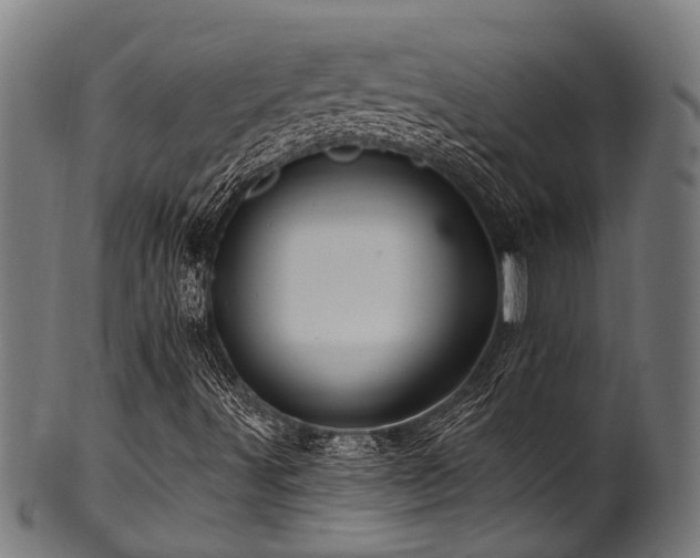 X0000100971491200806241538