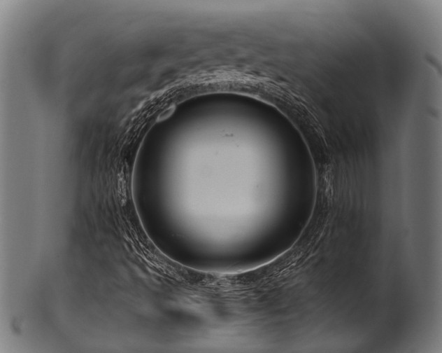 X0000100971493200806241538